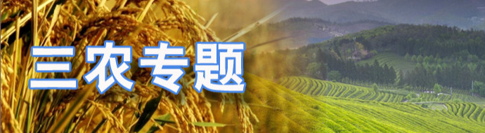 签约：宜宾市布谷鸟传媒有限责任公司网站建设项目